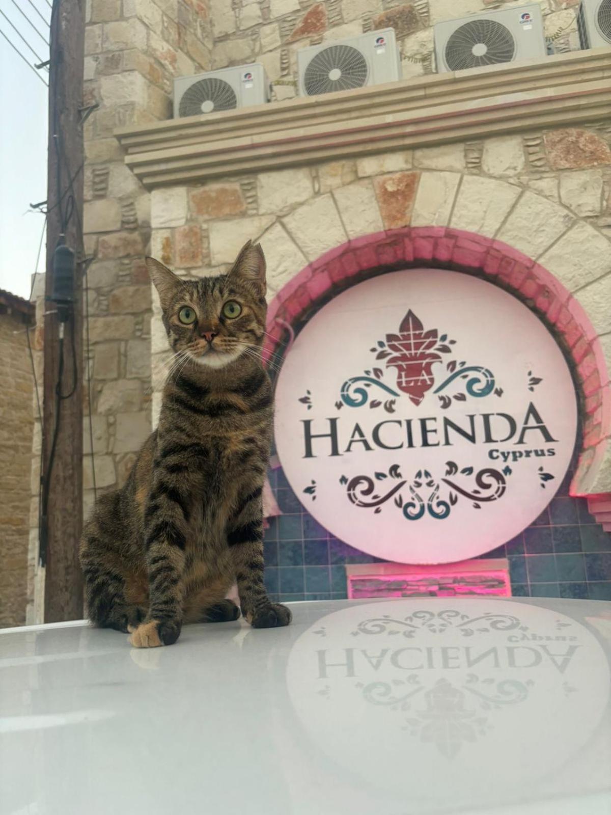 Hotel La Hacienda Cyprus Limassol Exterior foto